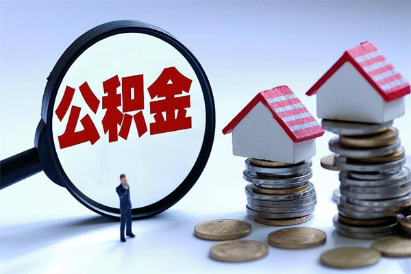 五指山离职提住房公积金（离职公积金提取条件）